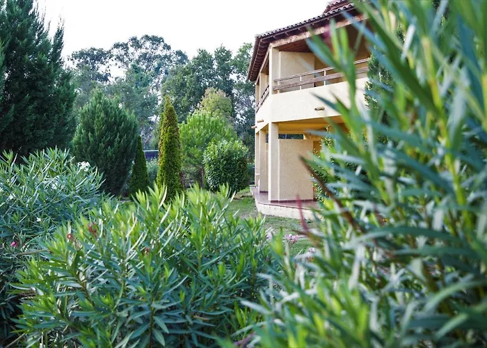 Marina Corsa 3rooms 150 M From The -